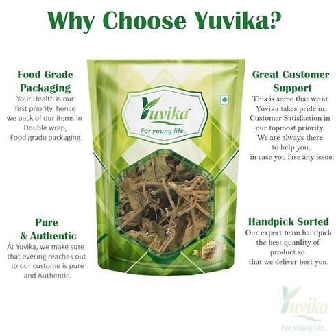 YUVIKA Gurmar Leaves